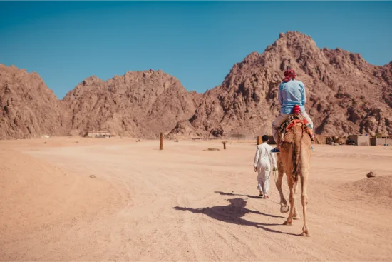 Escursione in cammello nel deserto del Sinai
